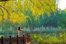 大赢家比分-足球比分-大赢家比分，足球比分的数字盛宴与深度解析