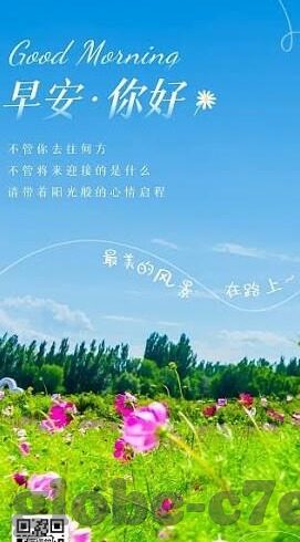 新疆足球2018比分-新疆足球2018,绿茵场上的比分记忆与奋进足迹