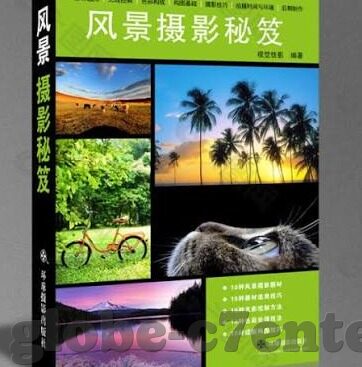 足球比分专业的公司-探秘足球比分专业公司,数据背后的竞技密码与商业帝国