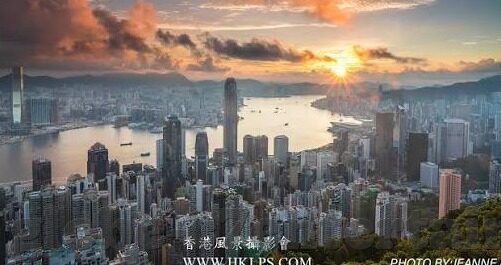 足球即時比分網-探秘足球即时比分网，绿茵场的数字心跳与球迷的狂欢盛宴
