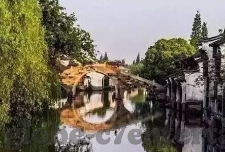 足球即时比分zquu-足球即时比分zquu,球迷的实时战场与激情纽带